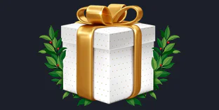 Aviamasters Gift Box Bonus